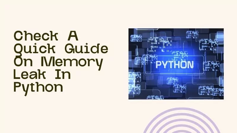 Memory Leak In Python