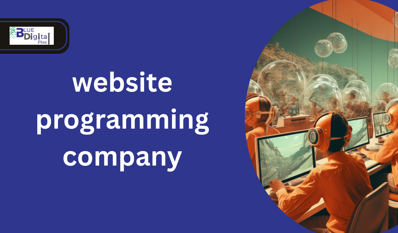 website programming company