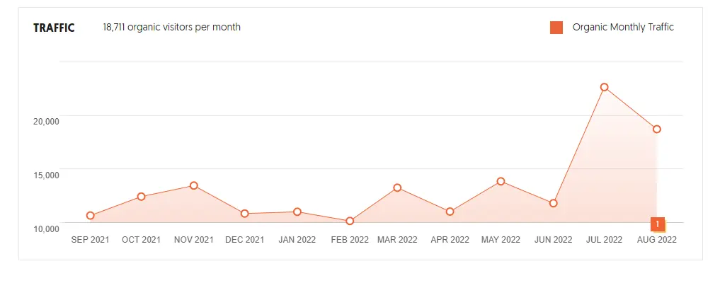 Golden Camera Shopify Store SEO Performance Graph - Bluedigitalpixel